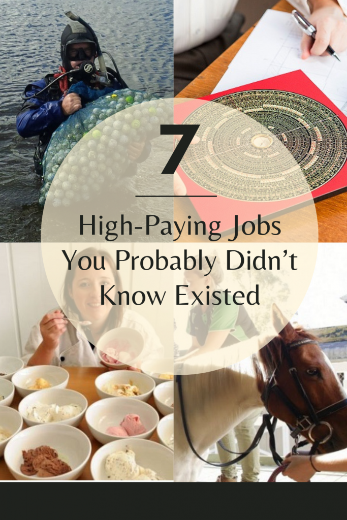 7 High-Paying Jobs You Probably Didn’t Know Existed