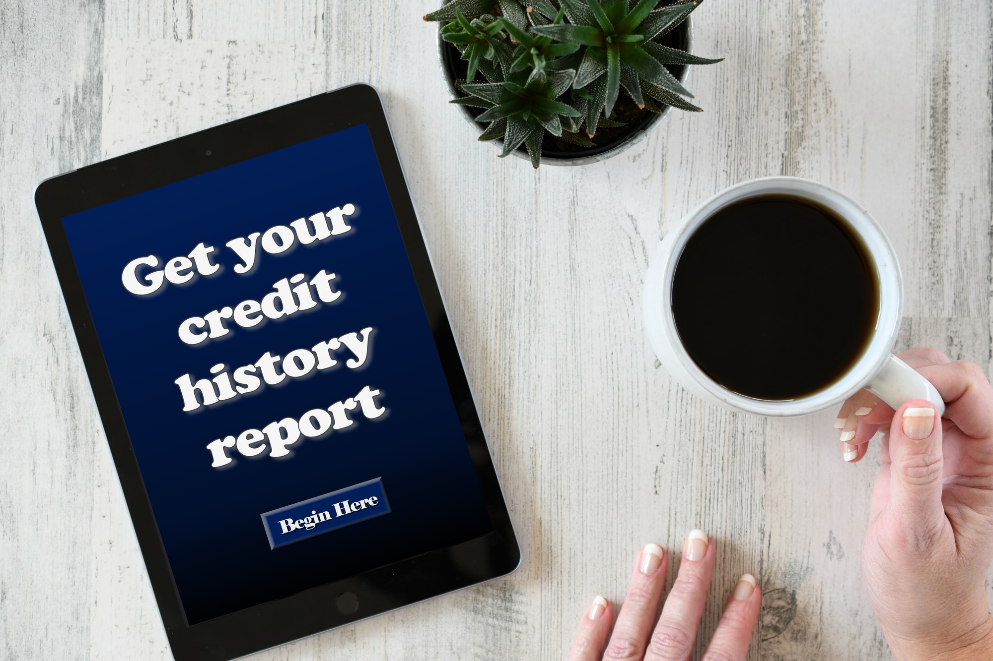 credit history